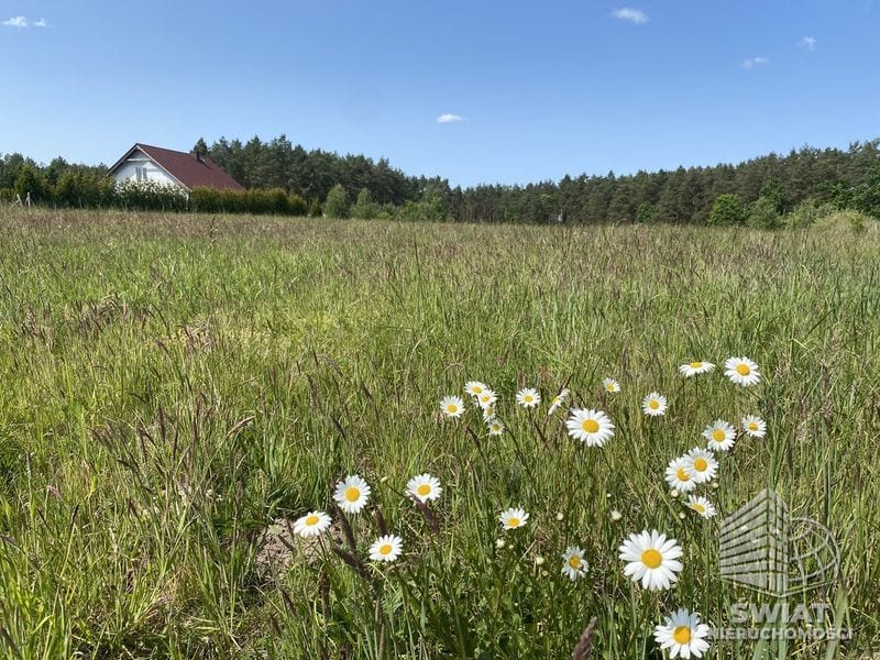 Działka na sprzedaż, Przybiernów, 20469 m² — MPN20851, zdjęcie 2