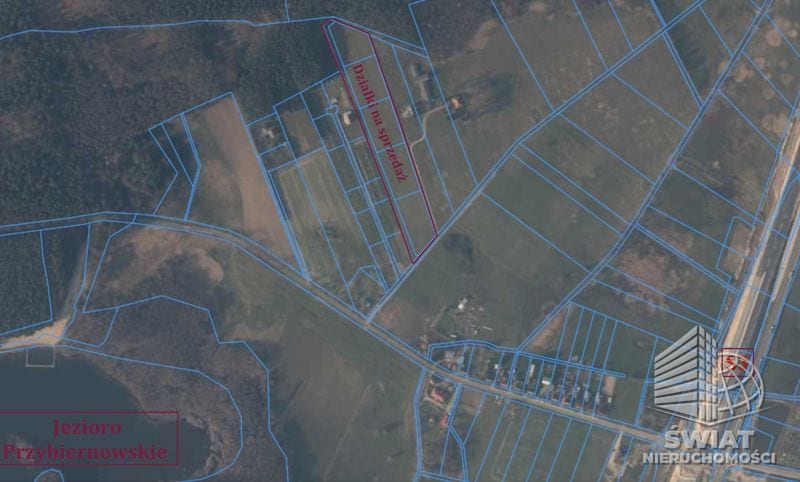 Działka na sprzedaż, Przybiernów, 3004 m² — MPN20860, zdjęcie 4