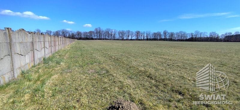 Działka na sprzedaż, Przybiernów Zabierzewo, 3005 m² — MNI22198, zdjęcie 8