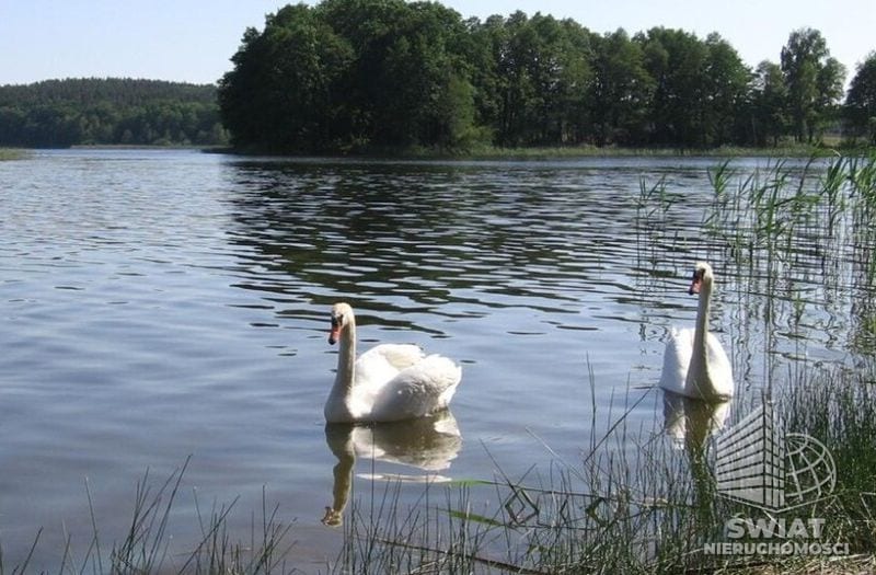 Działka na sprzedaż, Przybiernów Zabierzewo, 50200 m² — MTN13277, zdjęcie 1