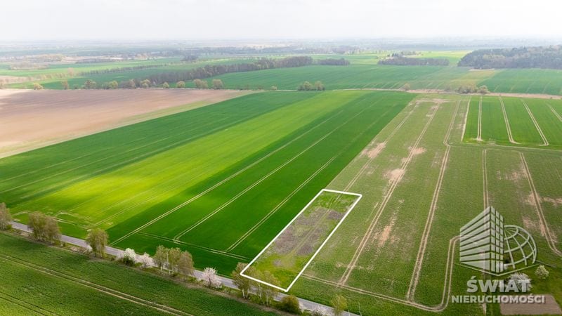 Działka na sprzedaż, Pyrzyce, 2997 m² — 93/10212/OGS, zdjęcie 4