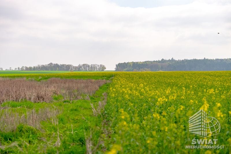 Działka na sprzedaż, Pyrzyce, 2997 m² — 93/10212/OGS, zdjęcie 5