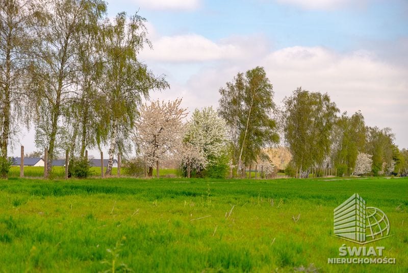 Działka na sprzedaż, Pyrzyce, 2997 m² — 93/10212/OGS, zdjęcie 6