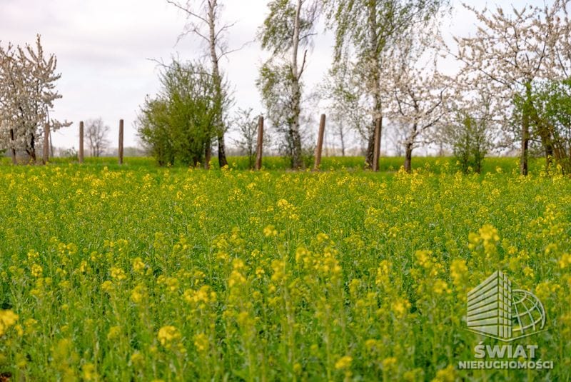 Działka na sprzedaż, Pyrzyce, 2997 m² — 93/10212/OGS, zdjęcie 7