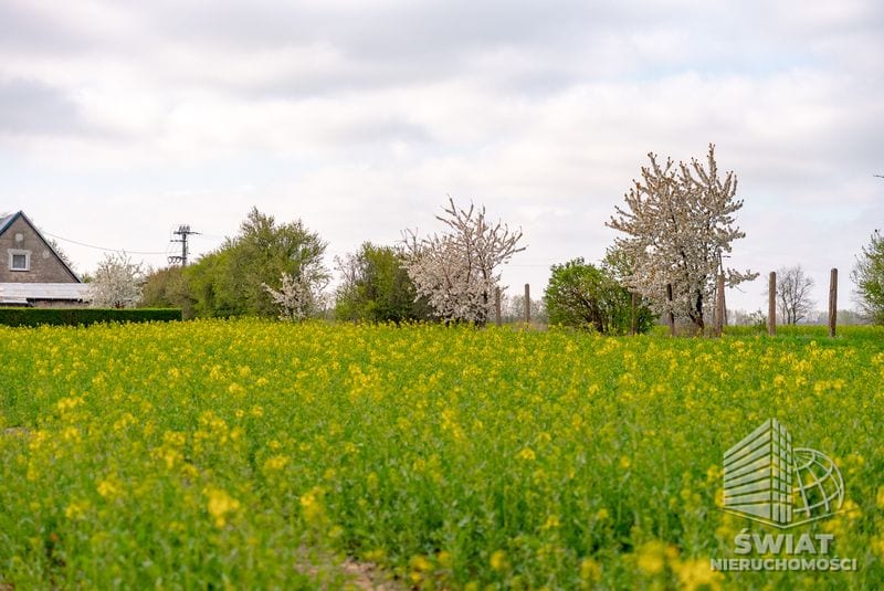 Działka na sprzedaż, Pyrzyce, 2997 m² — 93/10212/OGS, zdjęcie 8