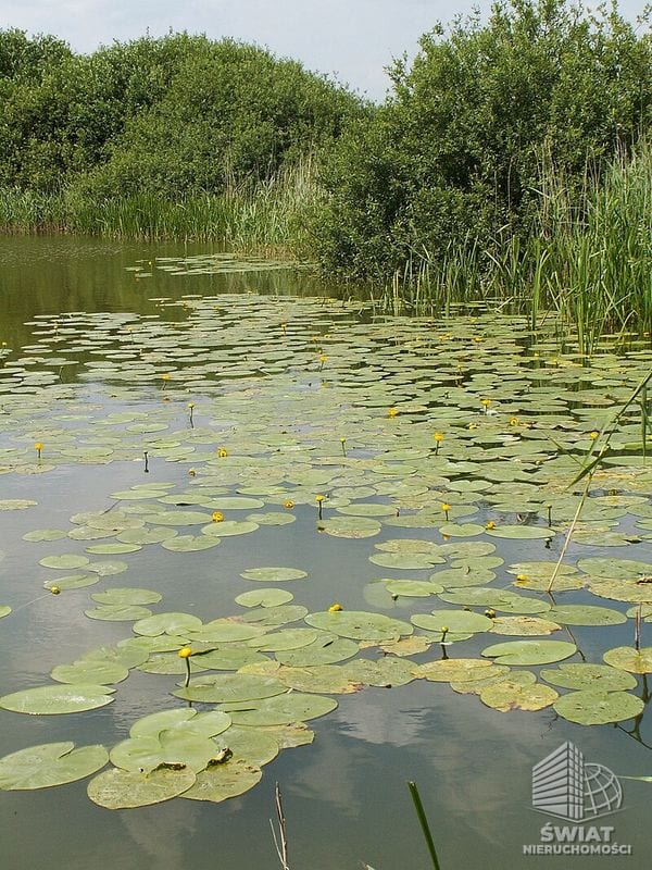 Działka na sprzedaż, Pyrzyce Giżyn, 900 m² — FKT25244, zdjęcie 1