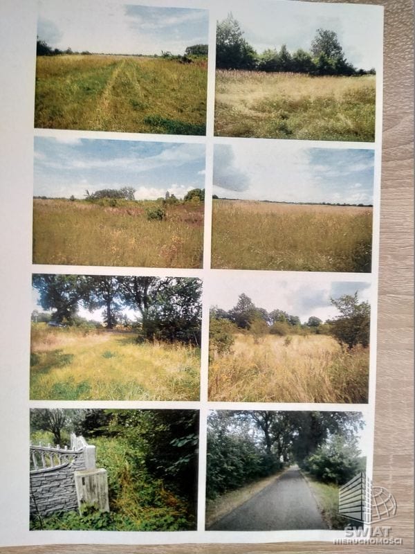 Działka na sprzedaż, Pyrzyce Giżyn, 3670 m² — INW30546, zdjęcie 5