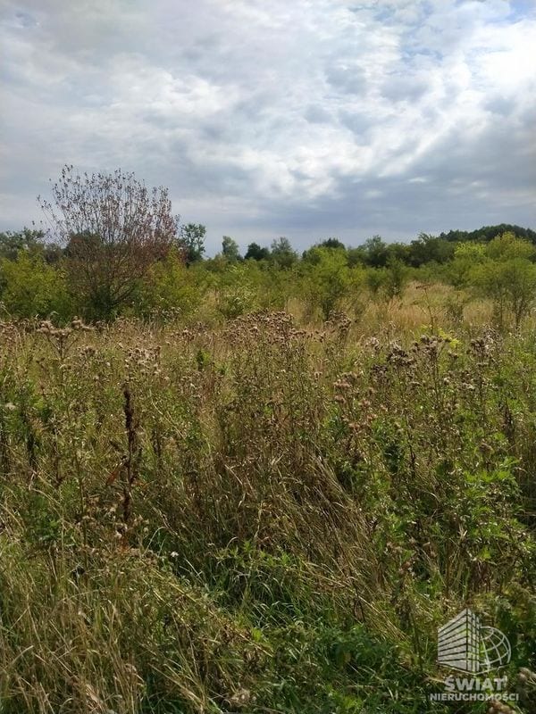 Działka na sprzedaż, Pyrzyce, 3001 m² — INW29236, zdjęcie 1