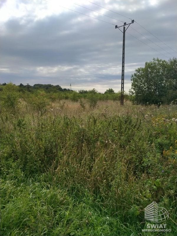 Działka na sprzedaż, Pyrzyce, 3001 m² — INW29236, zdjęcie 3