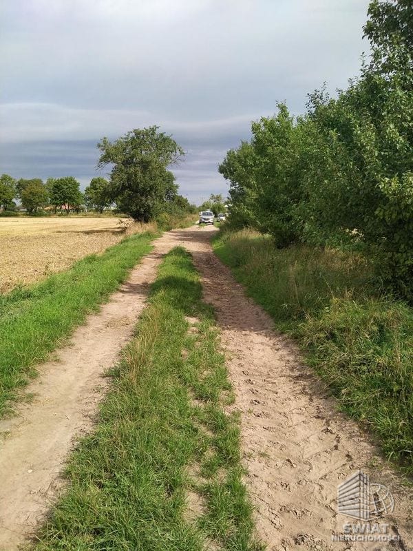 Działka na sprzedaż, Pyrzyce, 3001 m² — INW29236, zdjęcie 4