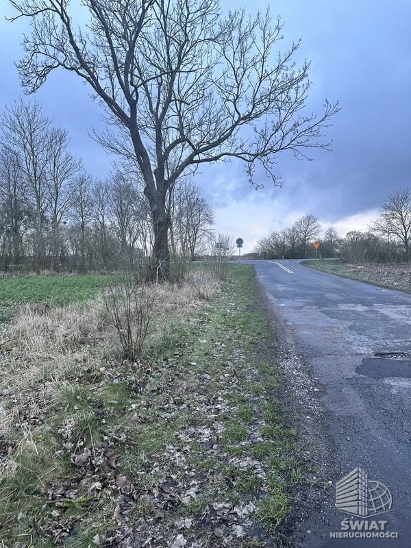 Działka na sprzedaż, Pyrzyce Ryszewko, 40917 m² — UBR22994, zdjęcie 6