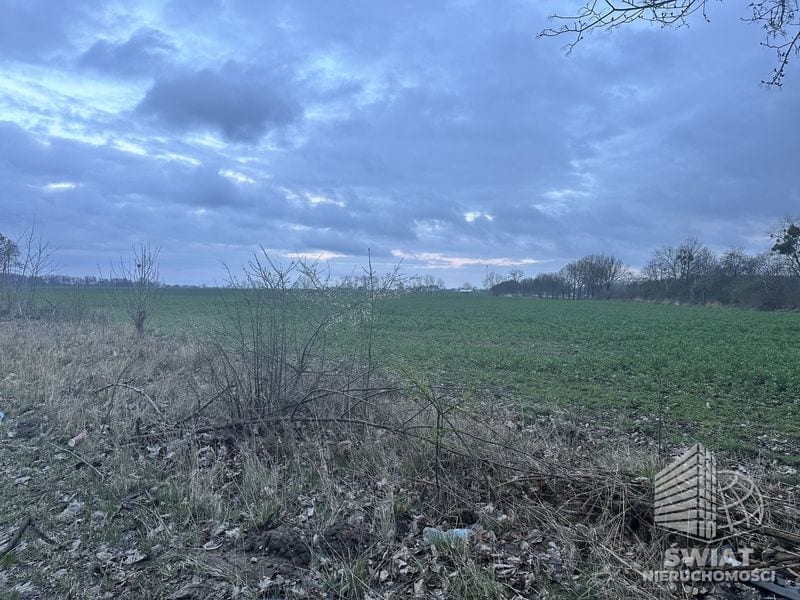 Działka na sprzedaż, Pyrzyce Ryszewko, 40917 m² — UBR22994, zdjęcie 7