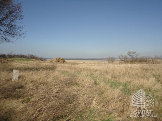 Działka na sprzedaż, Pyrzyce Turze, 10000 m² — ARK25329, zdjęcie 1