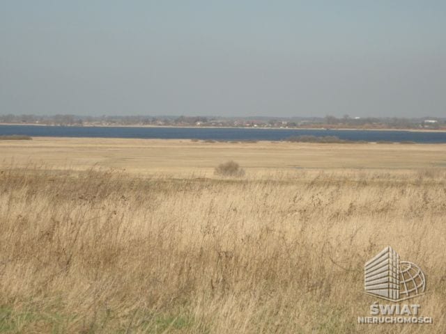 Działka na sprzedaż, Pyrzyce Turze, 10000 m² — ARK25329, zdjęcie 2