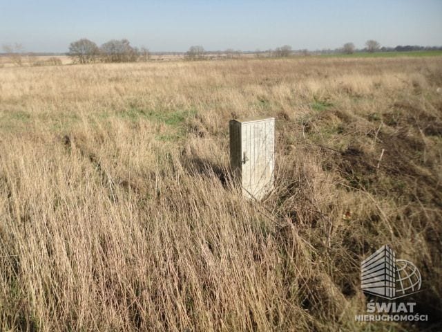 Działka na sprzedaż, Pyrzyce Turze, 10000 m² — ARK25329, zdjęcie 3