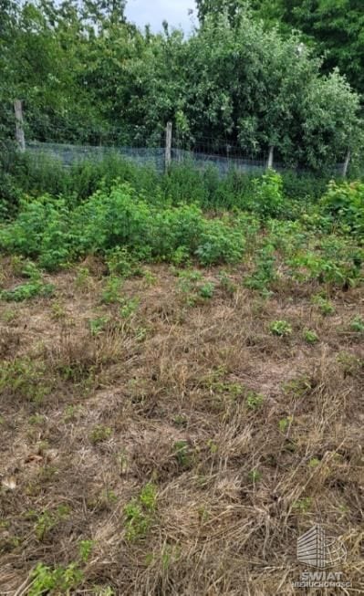 Działka na sprzedaż, Recz Rajsko, 1200 m² — INB20588, zdjęcie 2