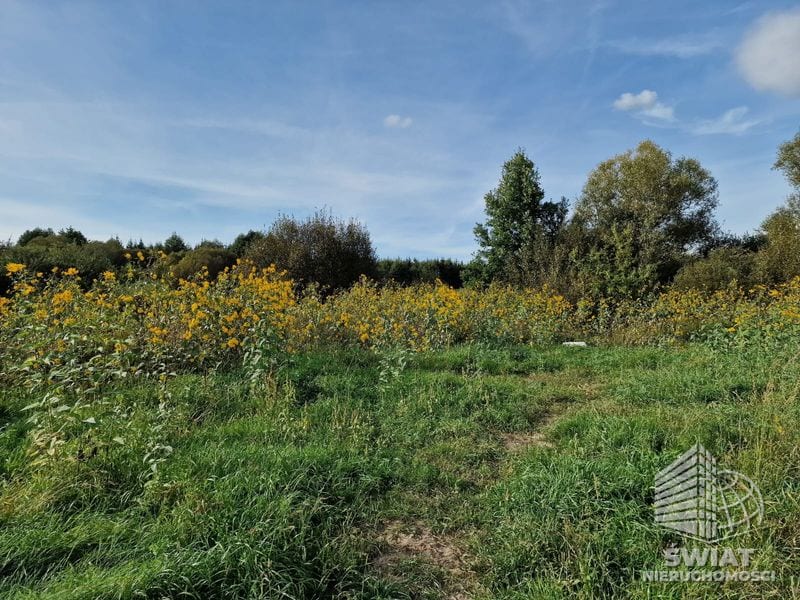 Działka na sprzedaż, Rzepin Lubiechnia Wielka, 1286 m² — MAP23115, zdjęcie 2