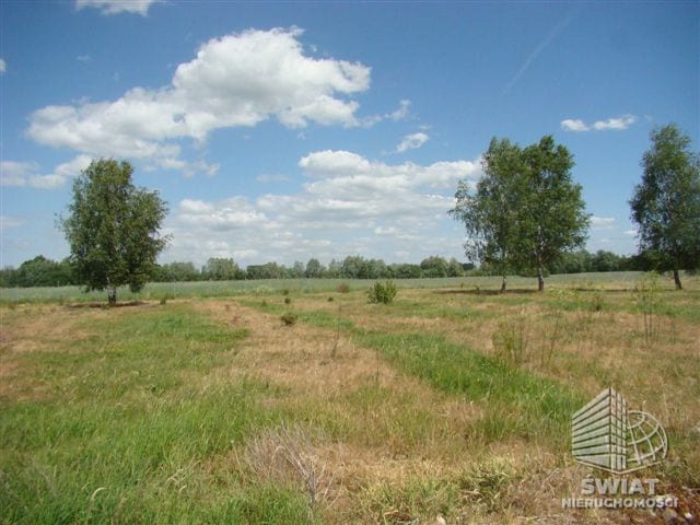 Działka na sprzedaż, Stara Dąbrowa, 1540 m² — FKT25221, zdjęcie 3