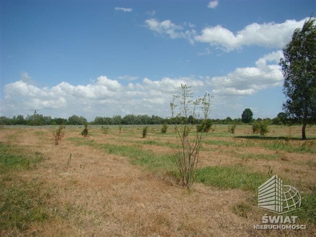Działka na sprzedaż, Stara Dąbrowa, 1540 m² — FKT25221, zdjęcie 7