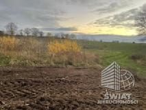 Działka na sprzedaż, Stara Dąbrowa, 1492 m² — INW29720, zdjęcie 1