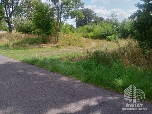 Działka na sprzedaż, Stara Dąbrowa, 1492 m² — INW29721, zdjęcie 1