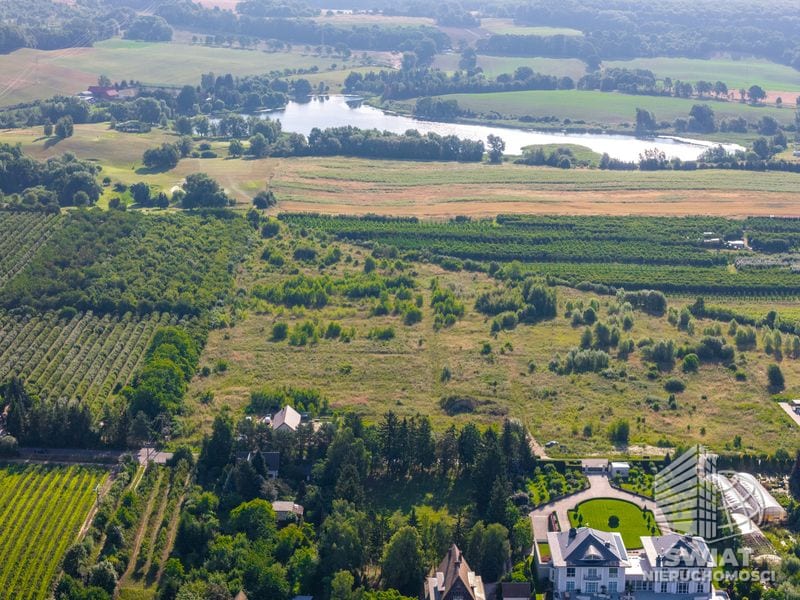 Działka na sprzedaż, Stare Czarnowo Binowo, 6985 m² — 96/10212/OGS, zdjęcie 6