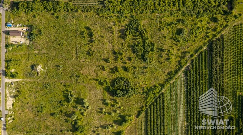 Działka na sprzedaż, Stare Czarnowo Binowo, 6985 m² — 96/10212/OGS, zdjęcie 7