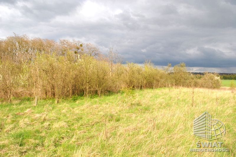Działka na sprzedaż, Stare Czarnowo Binowo, 900 m² — PMR25280, zdjęcie 1