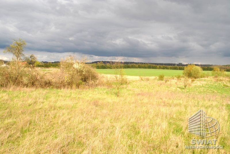 Działka na sprzedaż, Stare Czarnowo Binowo, 900 m² — PMR25280, zdjęcie 3