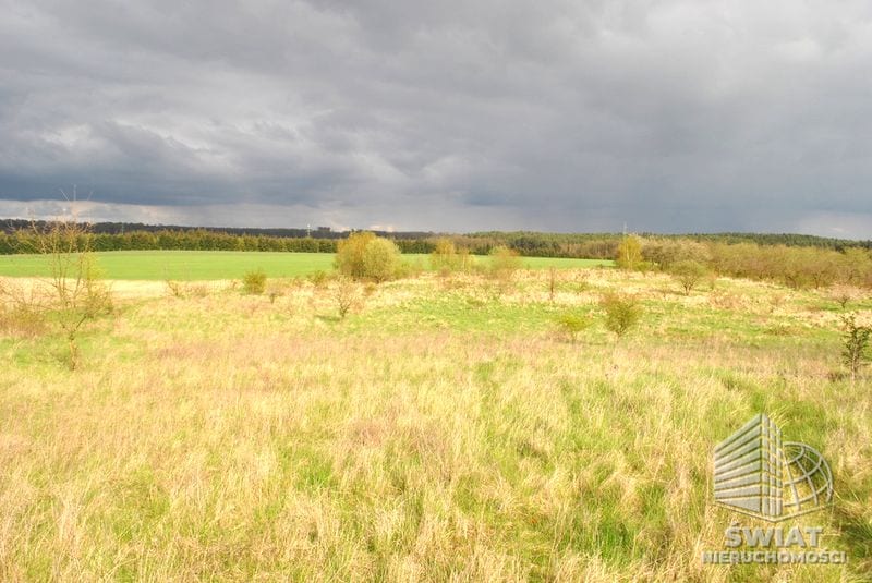 Działka na sprzedaż, Stare Czarnowo Binowo, 900 m² — PMR25280, zdjęcie 4