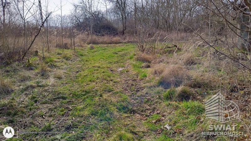 Działka na sprzedaż, Stare Czarnowo Dębina, 4300 m² — KOM32464, zdjęcie 4