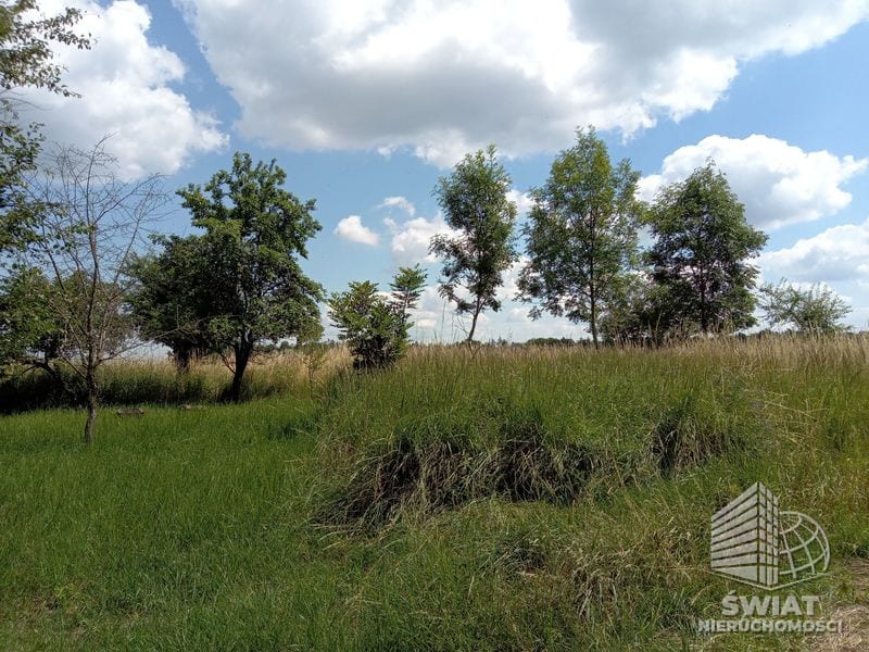 Działka na sprzedaż, Stare Czarnowo Dębina, 4300 m² — KOM32464, zdjęcie 5