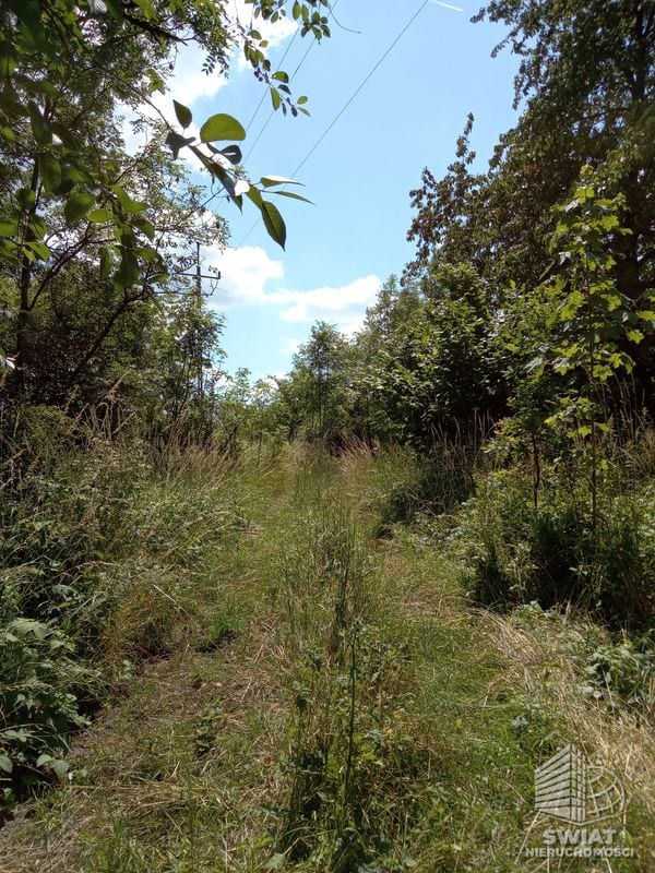 Działka na sprzedaż, Stare Czarnowo Dębina, 4300 m² — KOM32464, zdjęcie 6