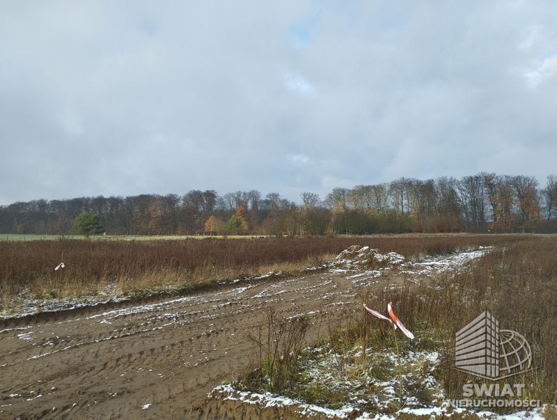 Działka na sprzedaż, Stare Czarnowo Dobropole Gryfińskie, 1951 m² — ROY04544, zdjęcie 5