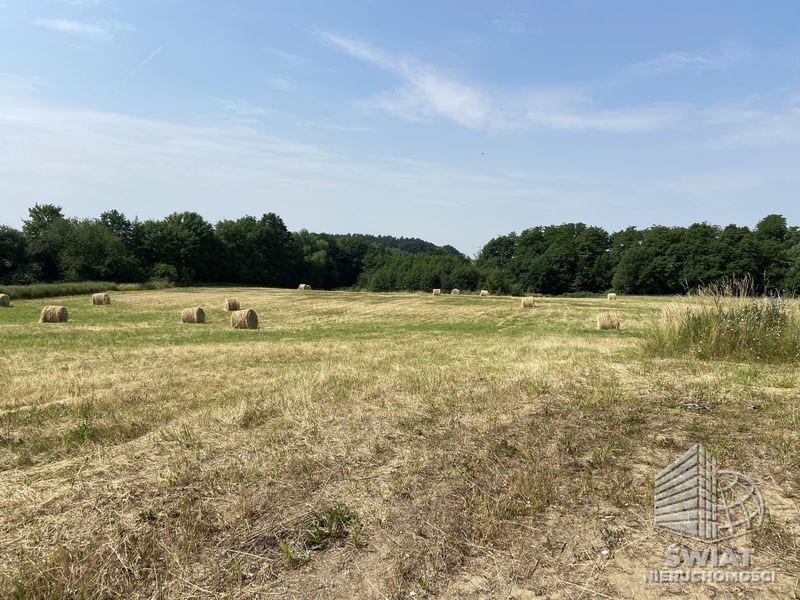 Działka na sprzedaż, Stare Czarnowo Glinna, 829 m² — EXT24686, zdjęcie 4