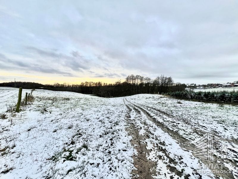 Działka na sprzedaż, Stare Czarnowo Kołowo, 76200 m² — MAP22658, zdjęcie 5