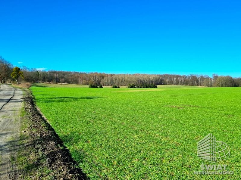 Działka na sprzedaż, Stare Czarnowo Kołowo, 3008 m² — ROY03391, zdjęcie 1