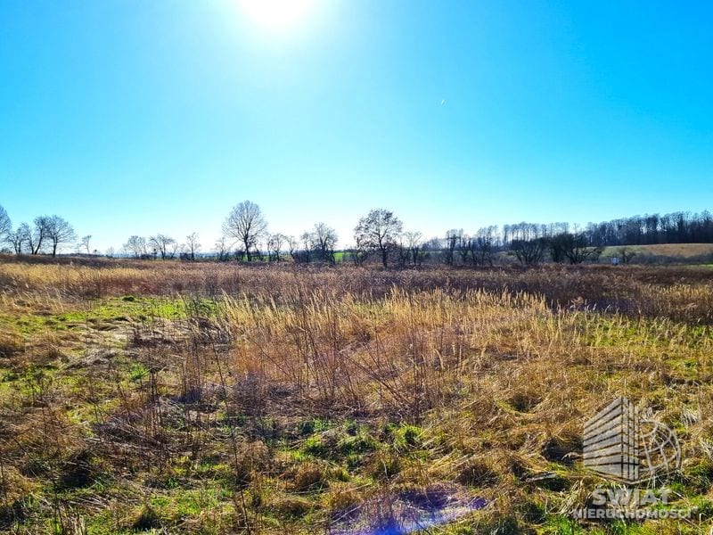 Działka na sprzedaż, Stare Czarnowo Kołowo, 3008 m² — ROY03391, zdjęcie 3