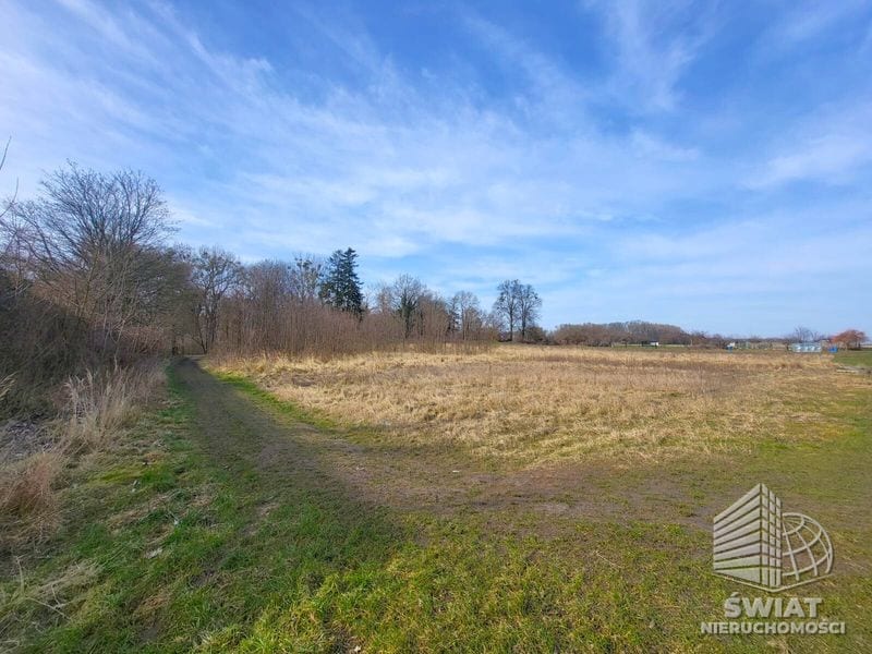 Działka na sprzedaż, Stargard Koszewo, 2400 m² — 83/11683/OGS, zdjęcie 2