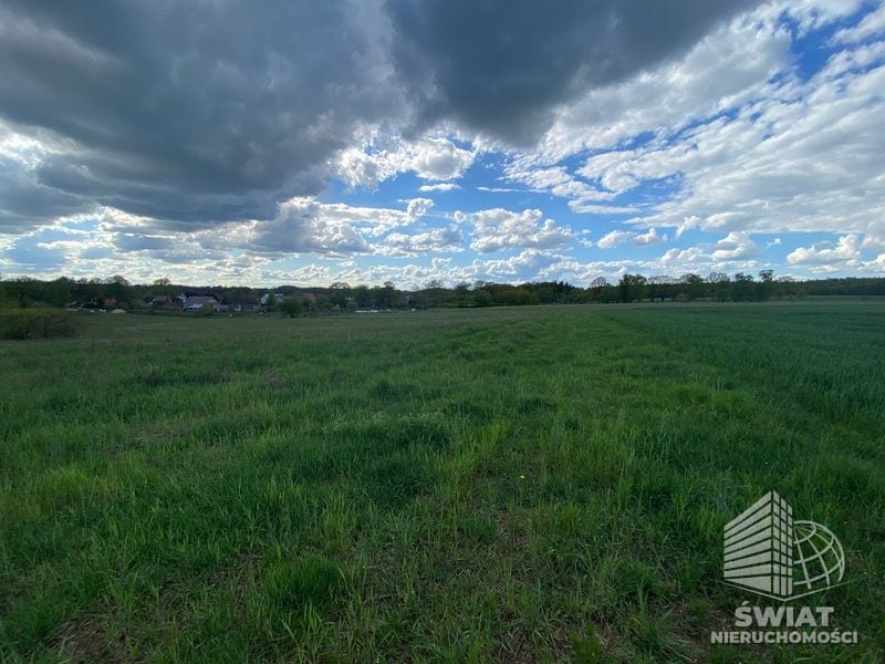 Działka na sprzedaż, Stargard Rogowo, 1567 m² — ARK22954, zdjęcie 1