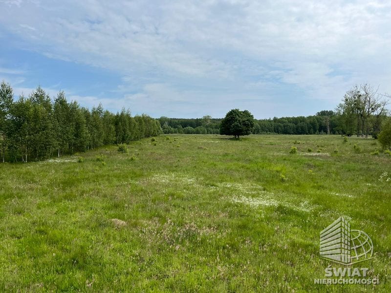 Działka na sprzedaż, Stargard Żarowo, 22023 m² — MNI21594, zdjęcie 7