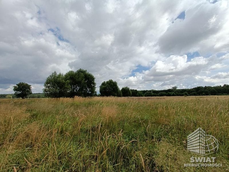 Działka na sprzedaż, Stargard Żarowo, 22023 m² — MNI21594, zdjęcie 8