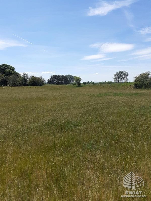 Działka na sprzedaż, Stepnica Żarnowo, 4235 m² — MNI22081, zdjęcie 3