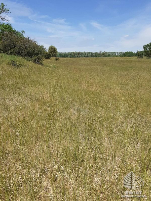 Działka na sprzedaż, Stepnica Żarnowo, 4235 m² — MNI22081, zdjęcie 4