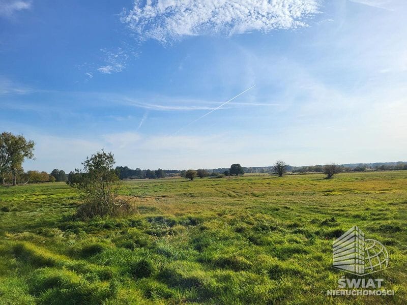 Działka na sprzedaż, Stepnica Żarnowo, 4626 m² — MNI22091, zdjęcie 8