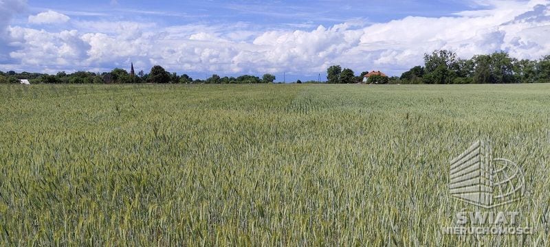 Działka na sprzedaż, Stepnica Żarnowo, 3169 m² — MNI22235, zdjęcie 3