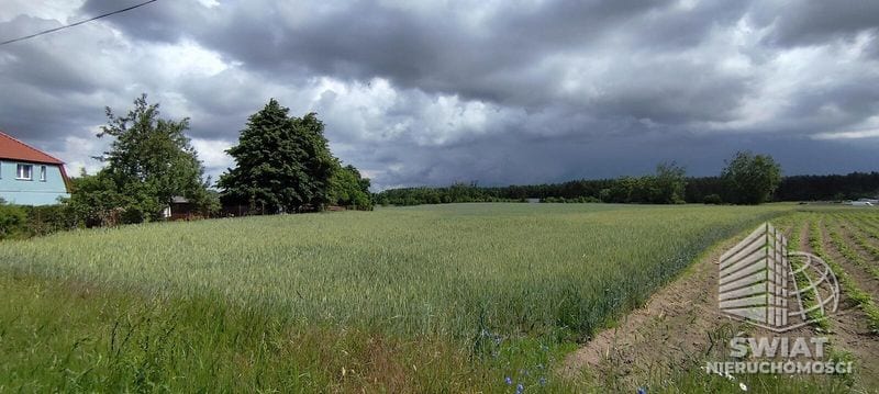 Działka na sprzedaż, Stepnica Żarnowo, 3169 m² — MNI22235, zdjęcie 6
