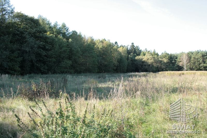 Działka na sprzedaż, Świerzno Krzepocin, 19743 m² — LGR21524, zdjęcie 2