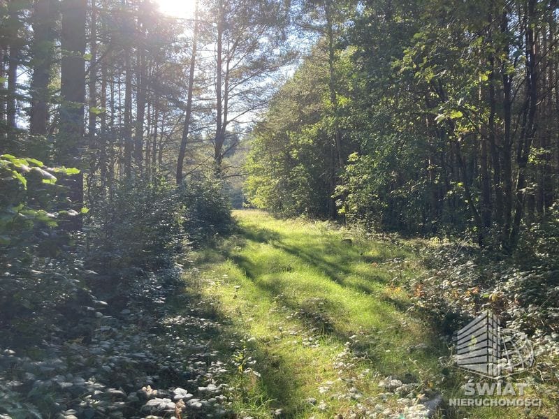 Działka na sprzedaż, Świerzno Krzepocin, 19743 m² — LGR21524, zdjęcie 5