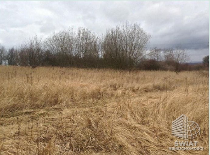 Działka na sprzedaż, Szczecin Bukowo, 10010 m² — ARK26586, zdjęcie 6